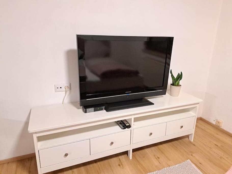 Ferienwohnung Zanier Gaissau  Εξωτερικό φωτογραφία